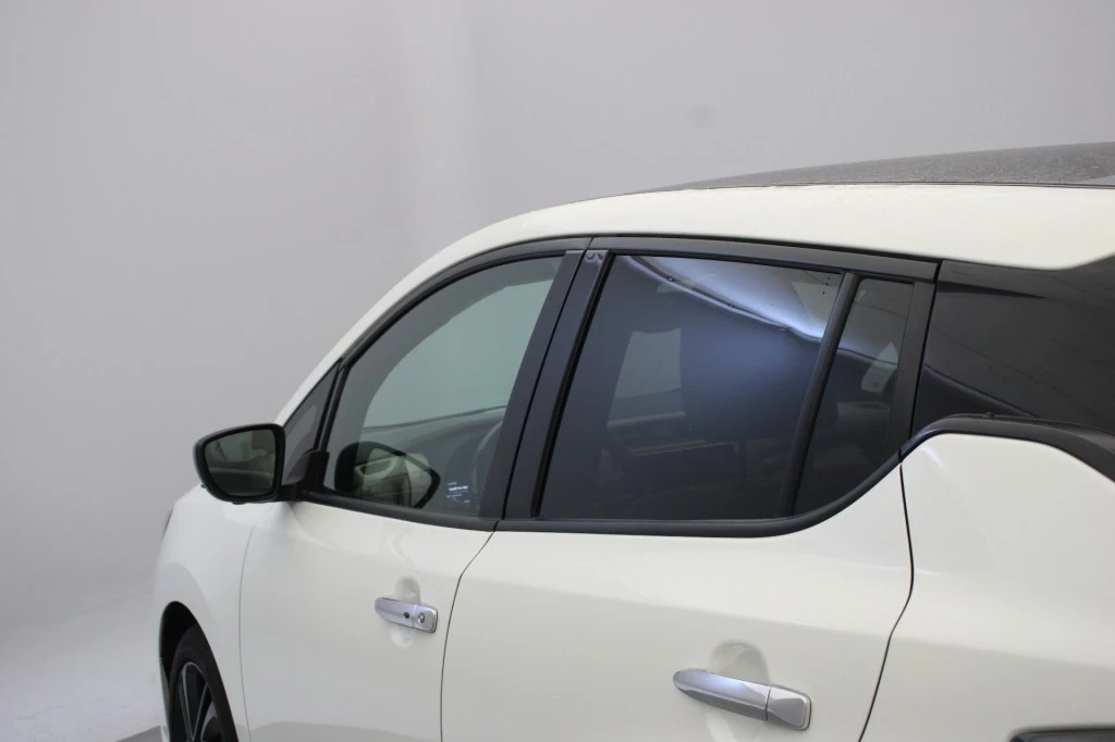Hoofdafbeelding Nissan Leaf