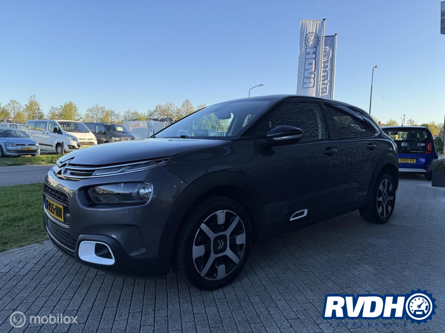 Hoofdafbeelding Citroën C4 Cactus