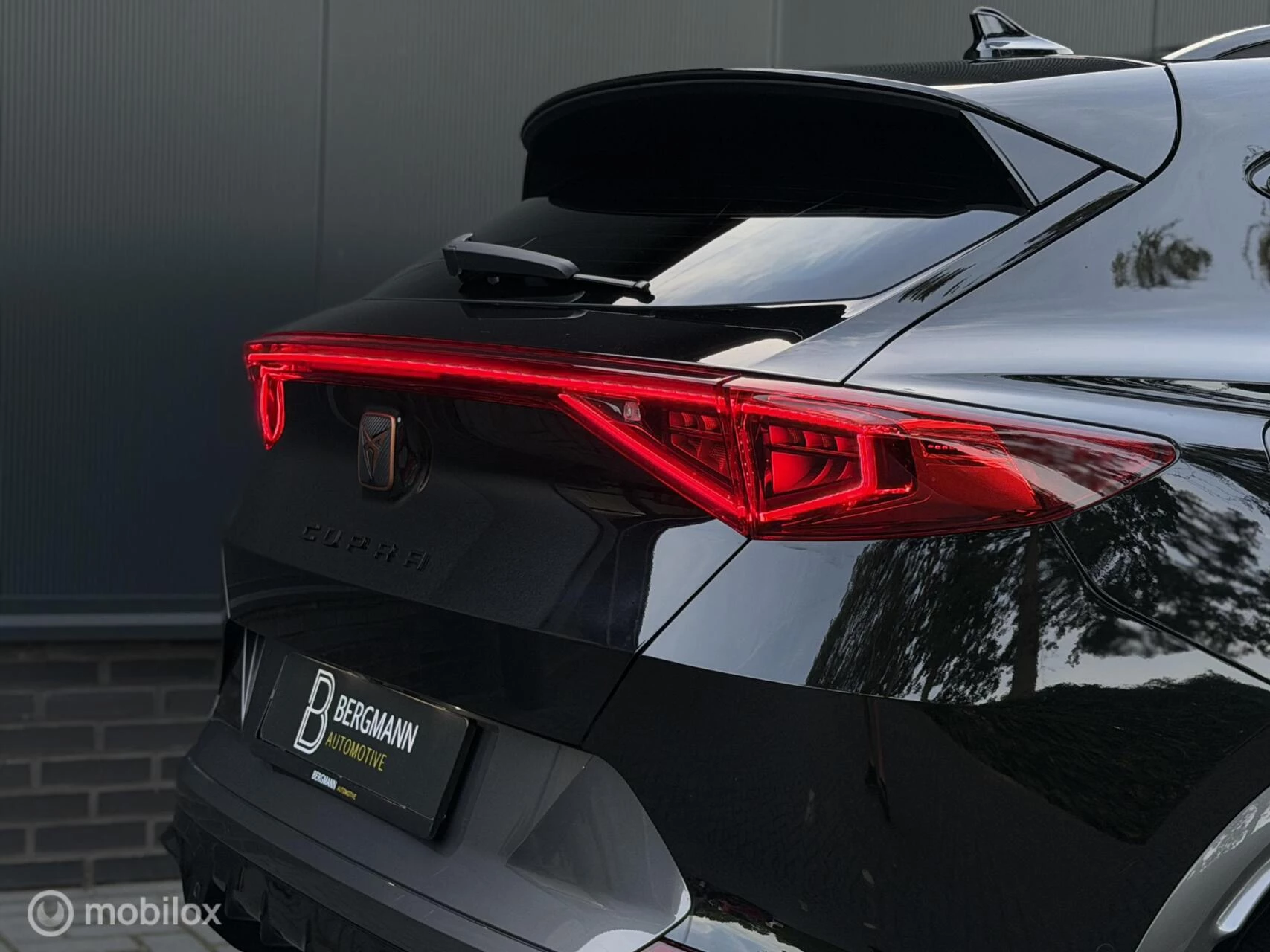 Hoofdafbeelding CUPRA Formentor