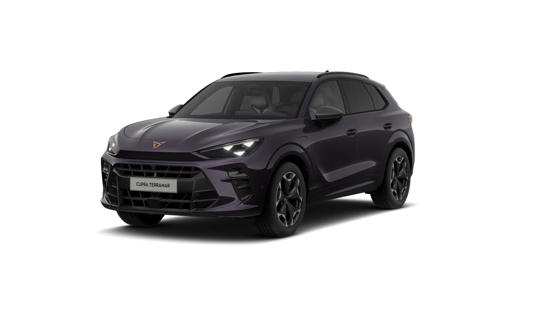 Hoofdafbeelding CUPRA Terramar