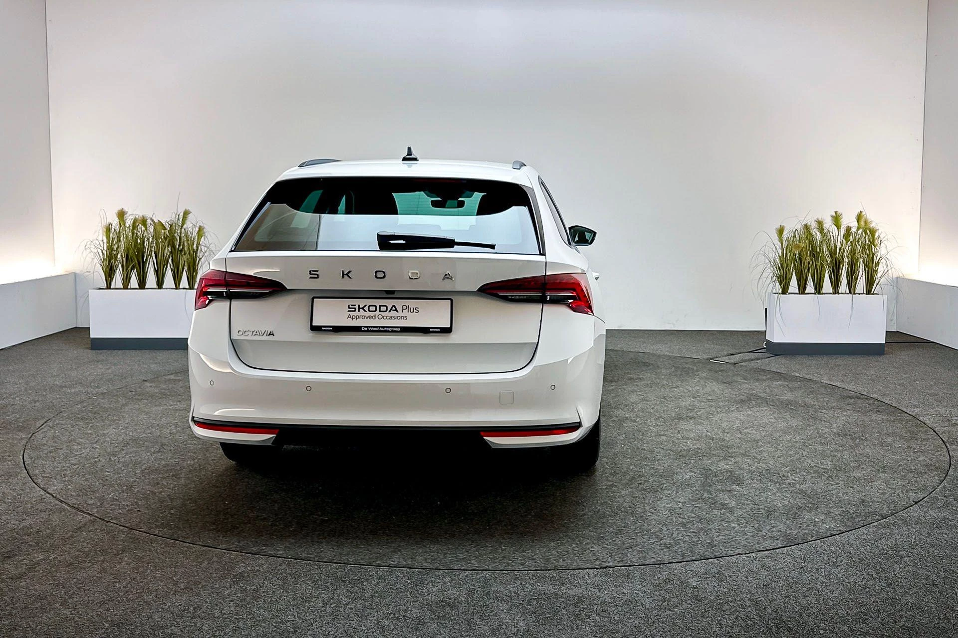 Hoofdafbeelding Škoda Octavia