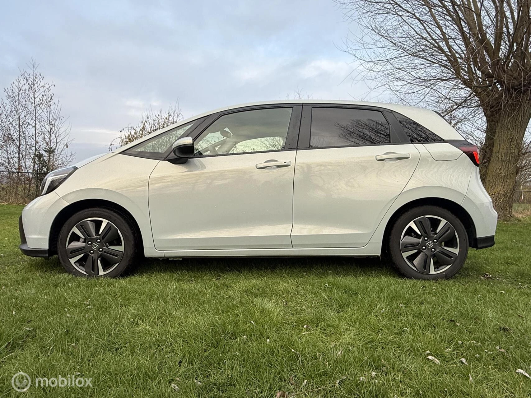Hoofdafbeelding Honda Jazz