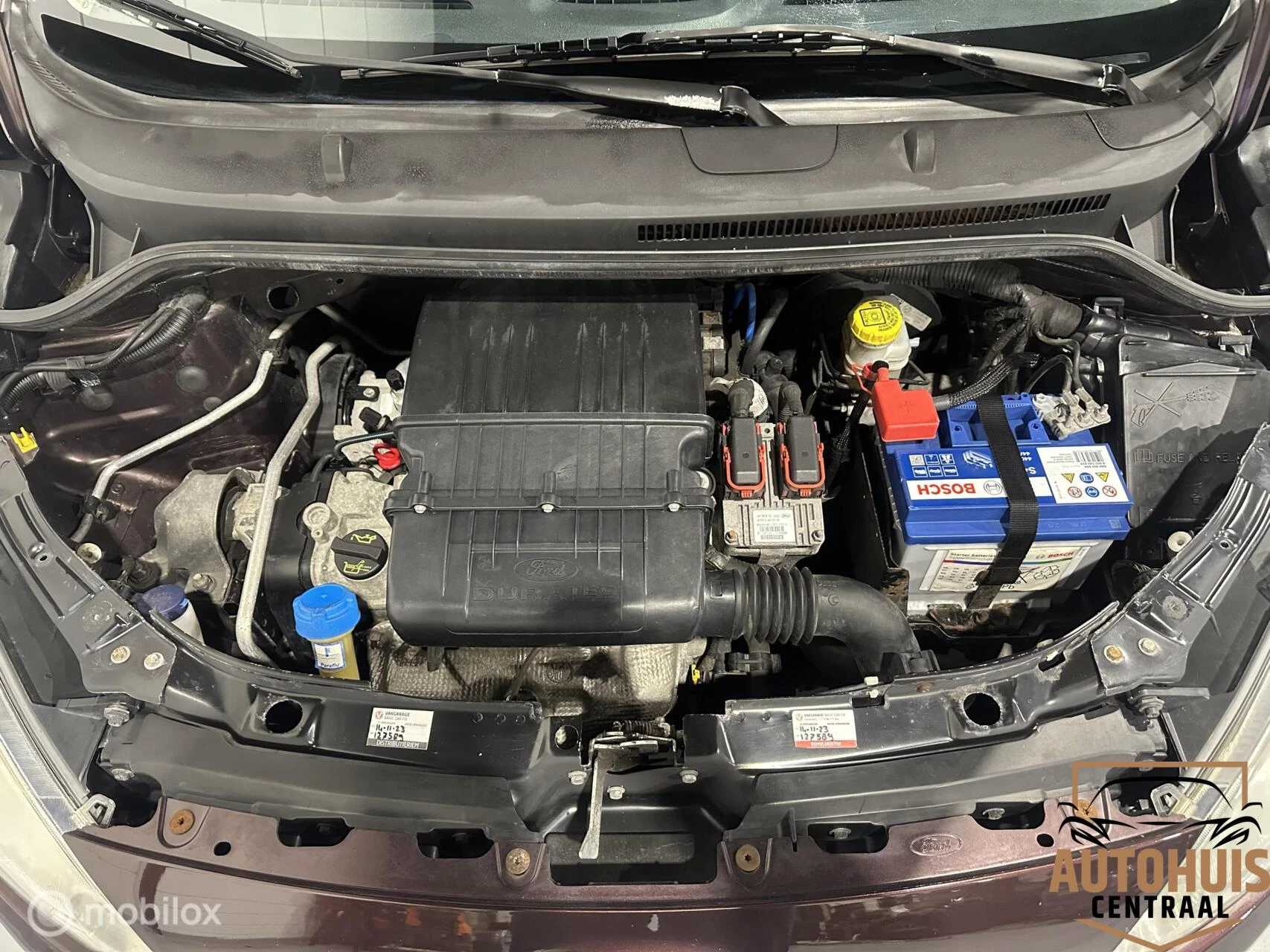 Hoofdafbeelding Ford Ka