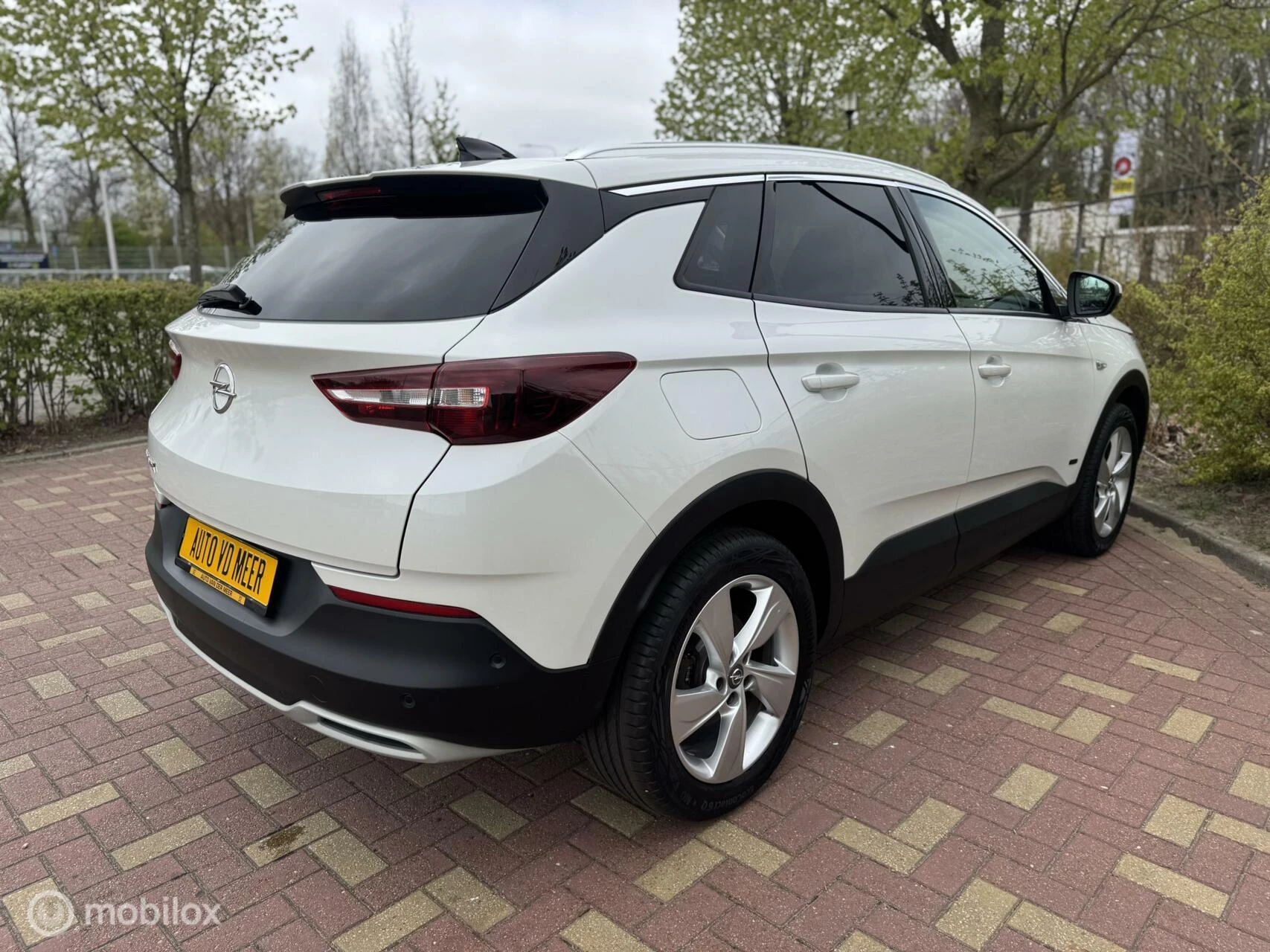 Hoofdafbeelding Opel Grandland X