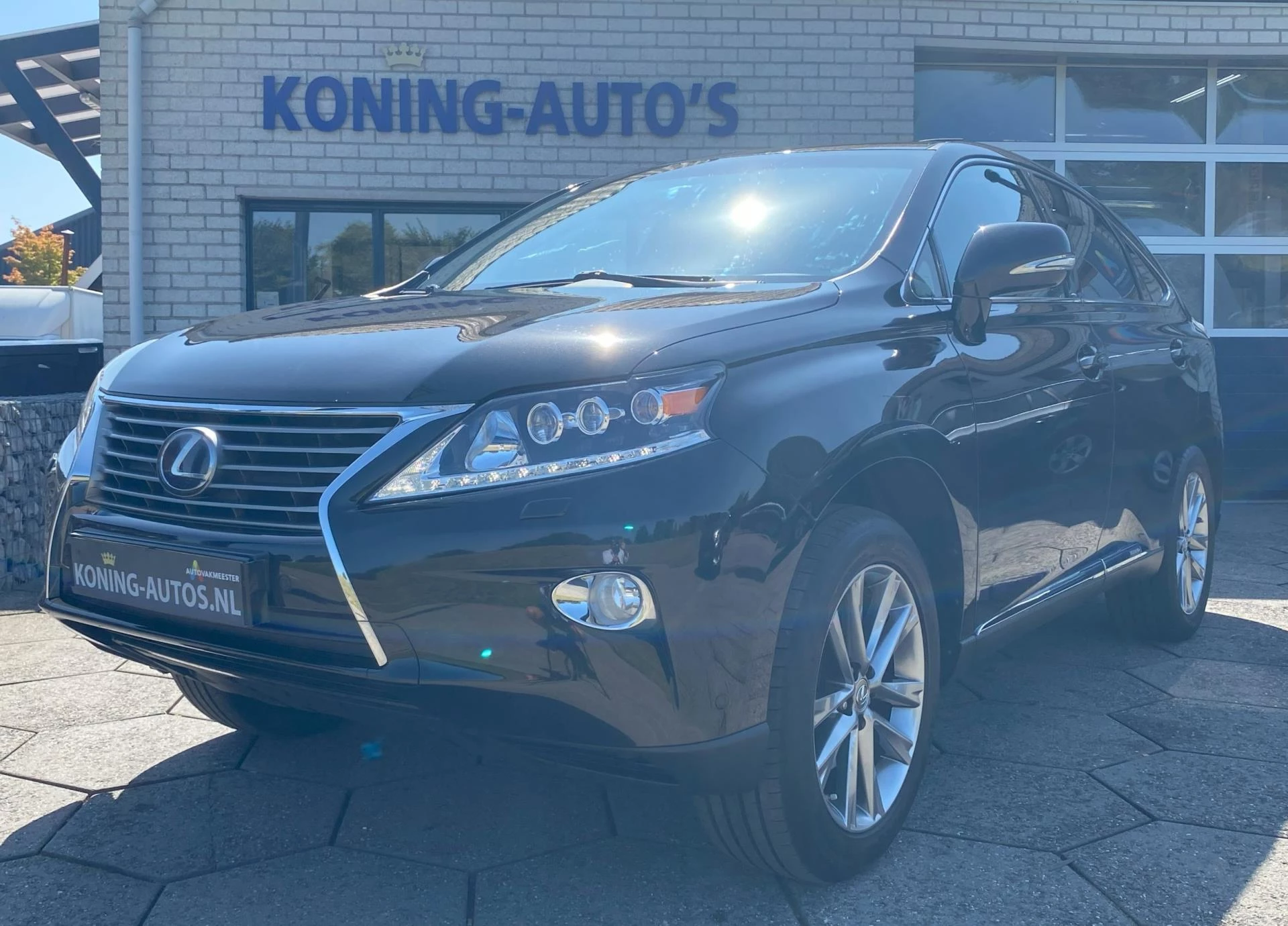 Hoofdafbeelding Lexus RX
