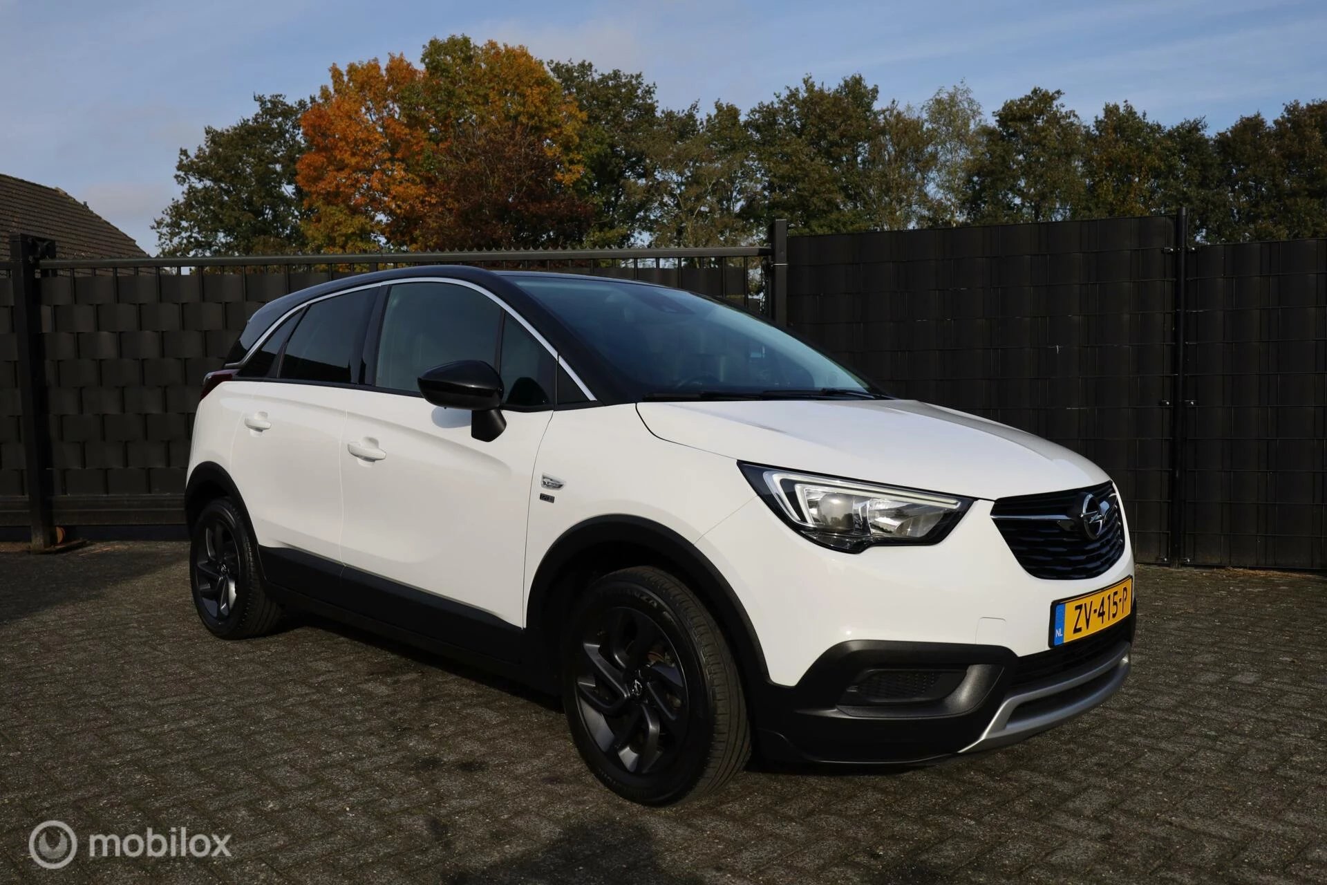 Hoofdafbeelding Opel Crossland X