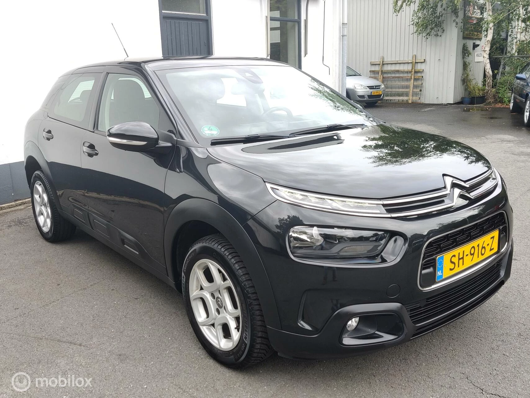 Hoofdafbeelding Citroën C4 Cactus