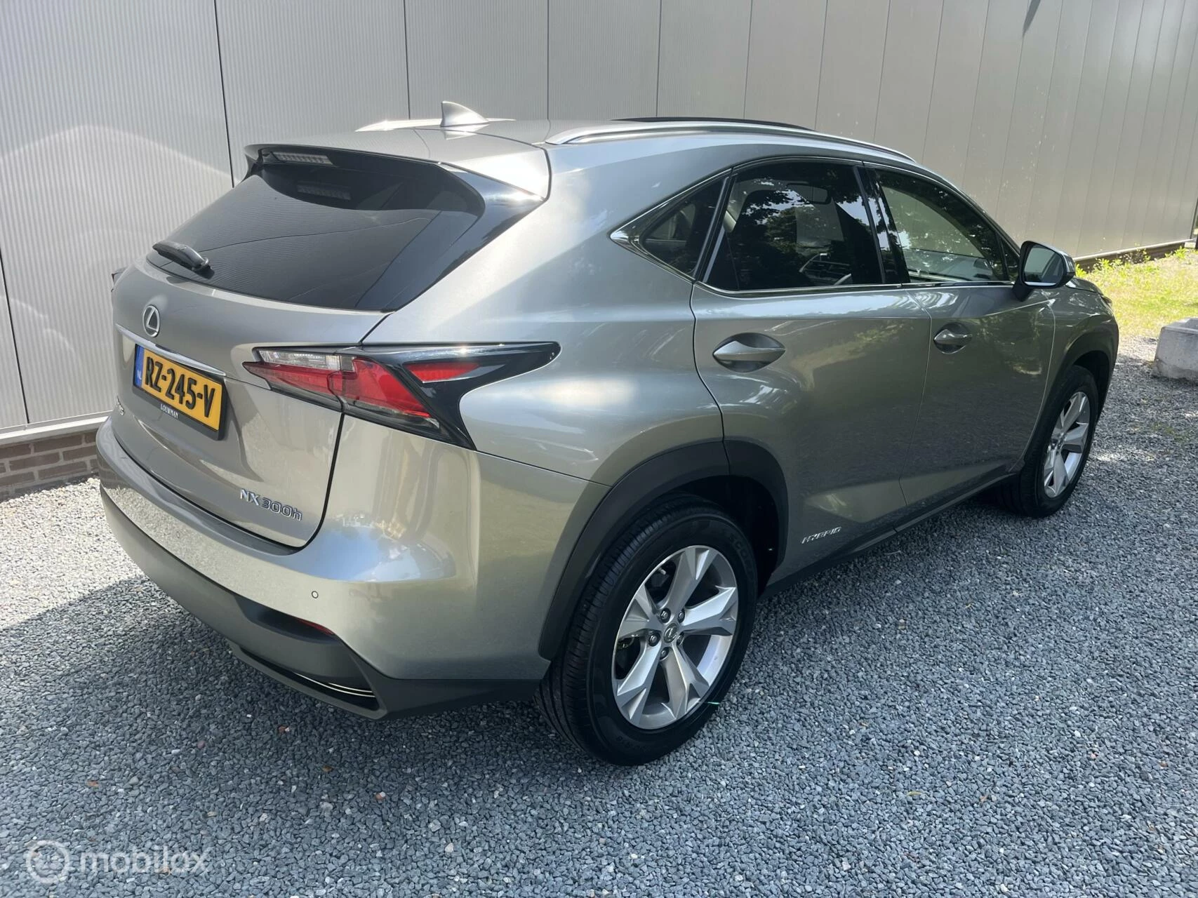 Hoofdafbeelding Lexus NX
