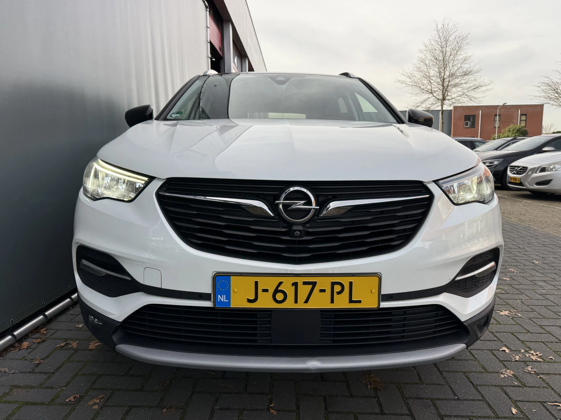 Hoofdafbeelding Opel Grandland X