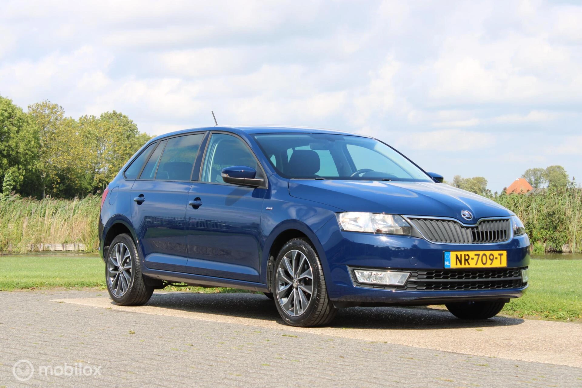 Hoofdafbeelding Škoda Rapid