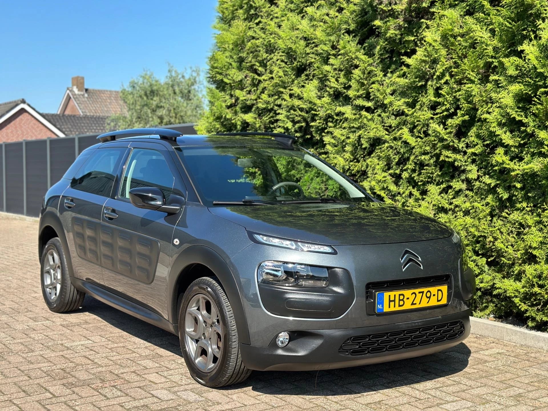 Hoofdafbeelding Citroën C4 Cactus