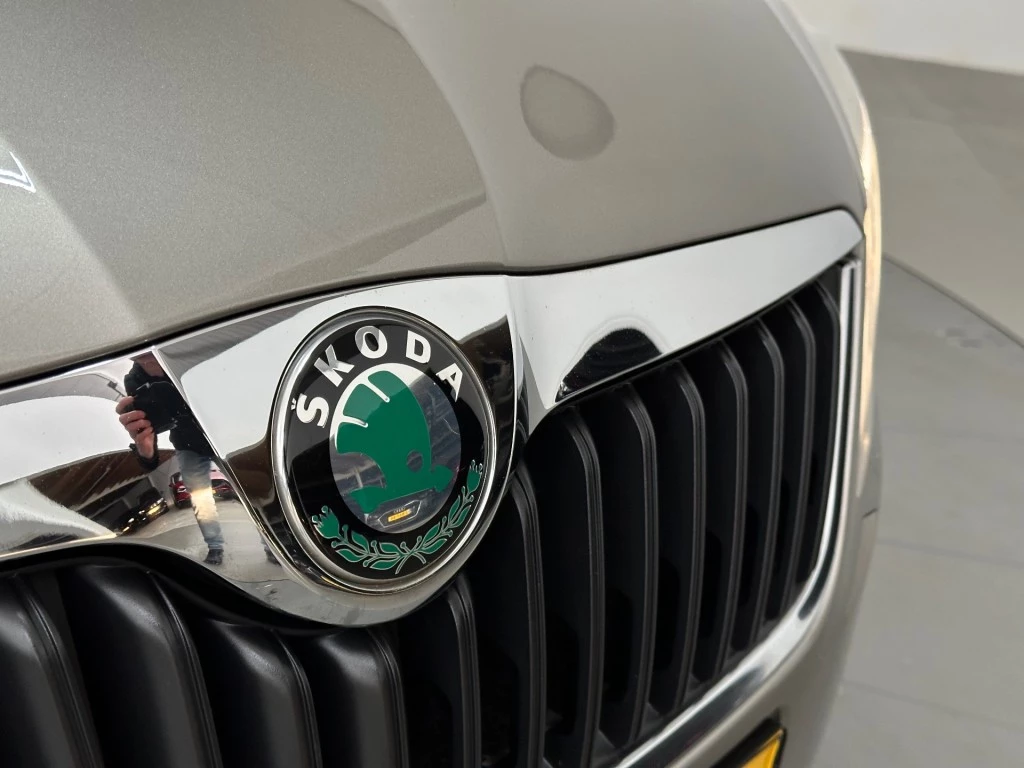 Hoofdafbeelding Škoda Fabia