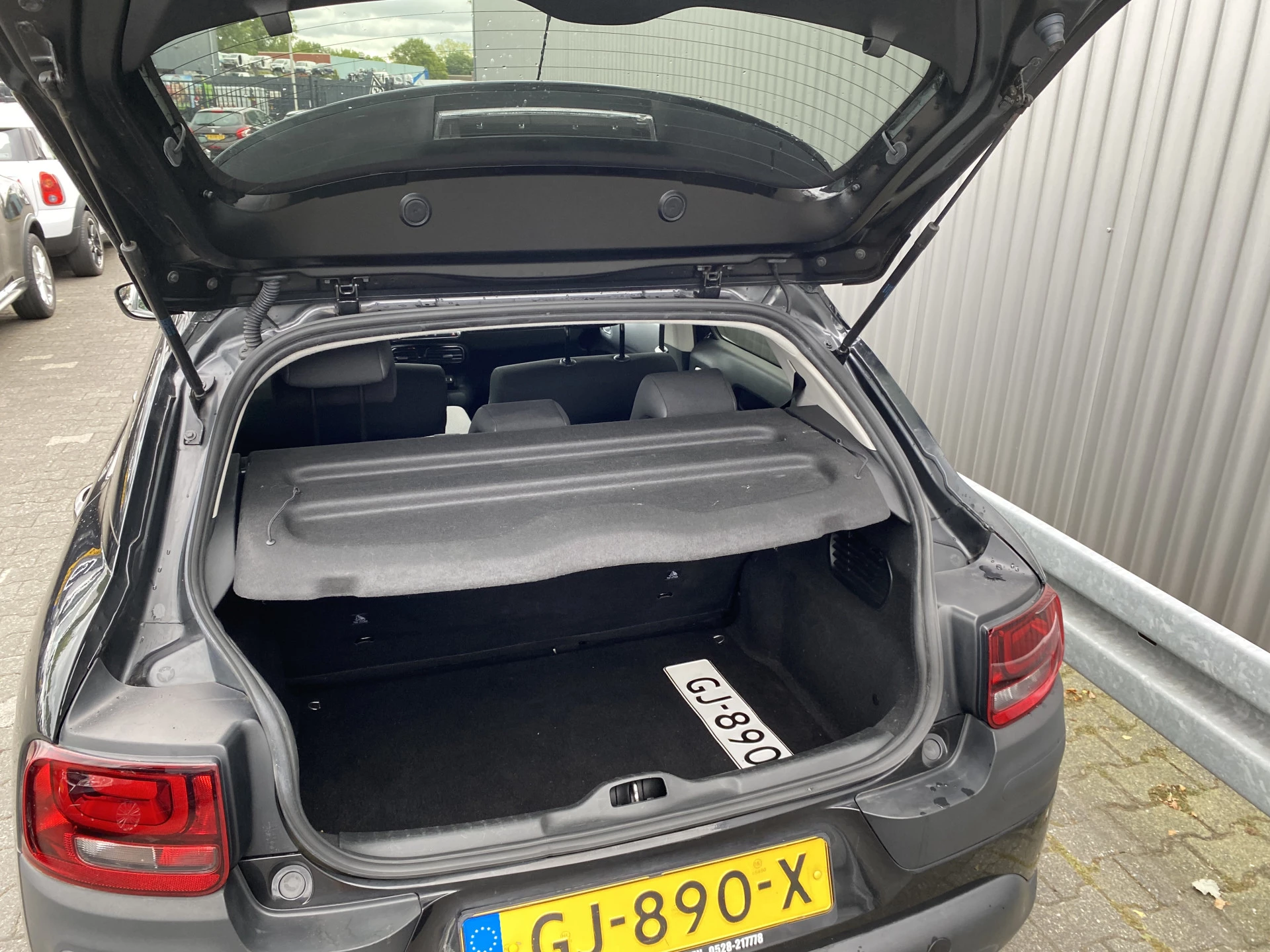 Hoofdafbeelding Citroën C4 Cactus