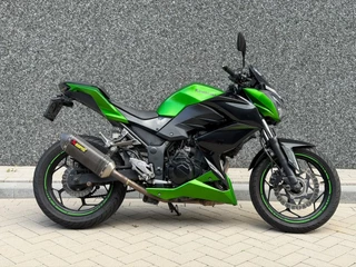 Kawasaki Tour Z 300 ABS
