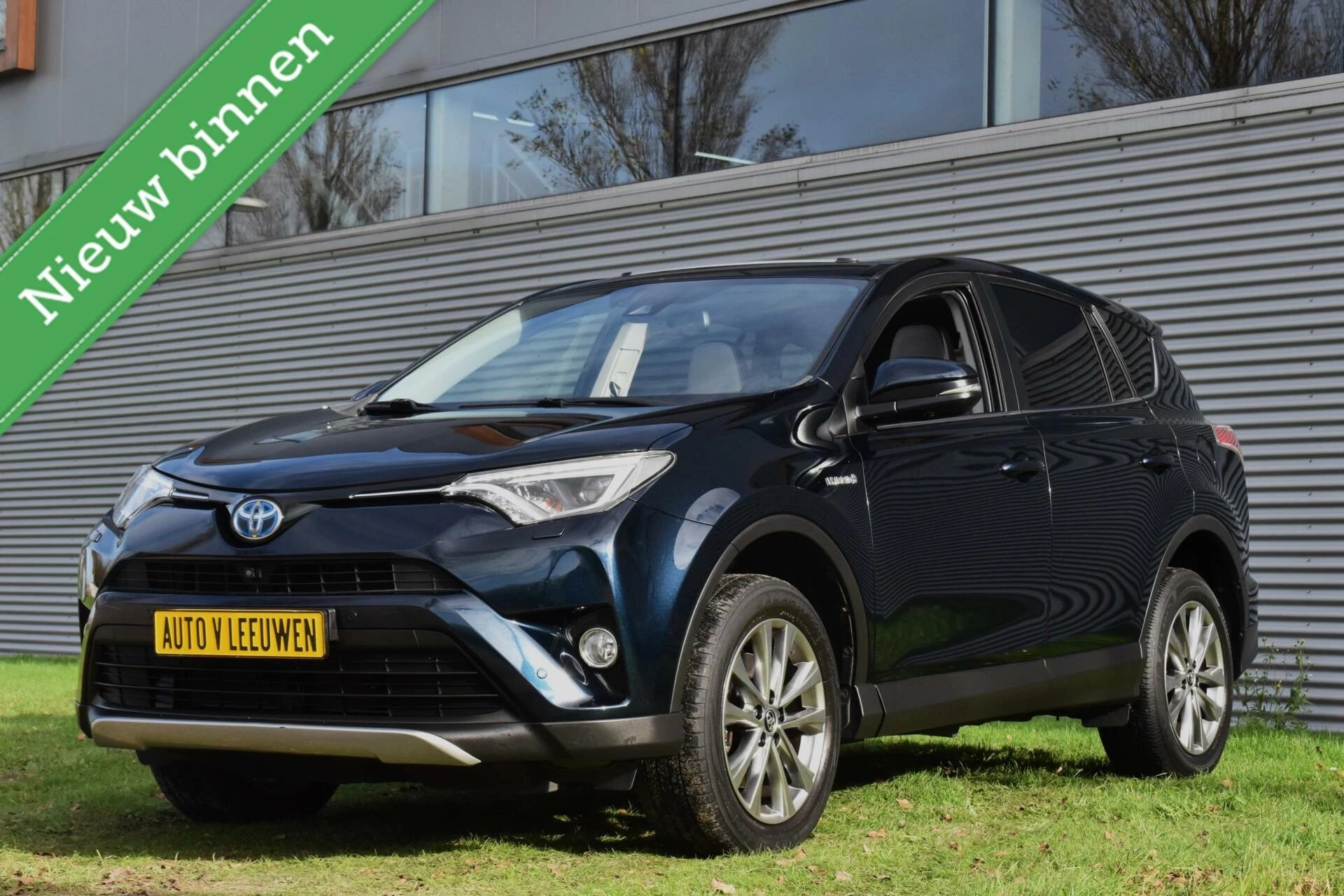 Hoofdafbeelding Toyota RAV4