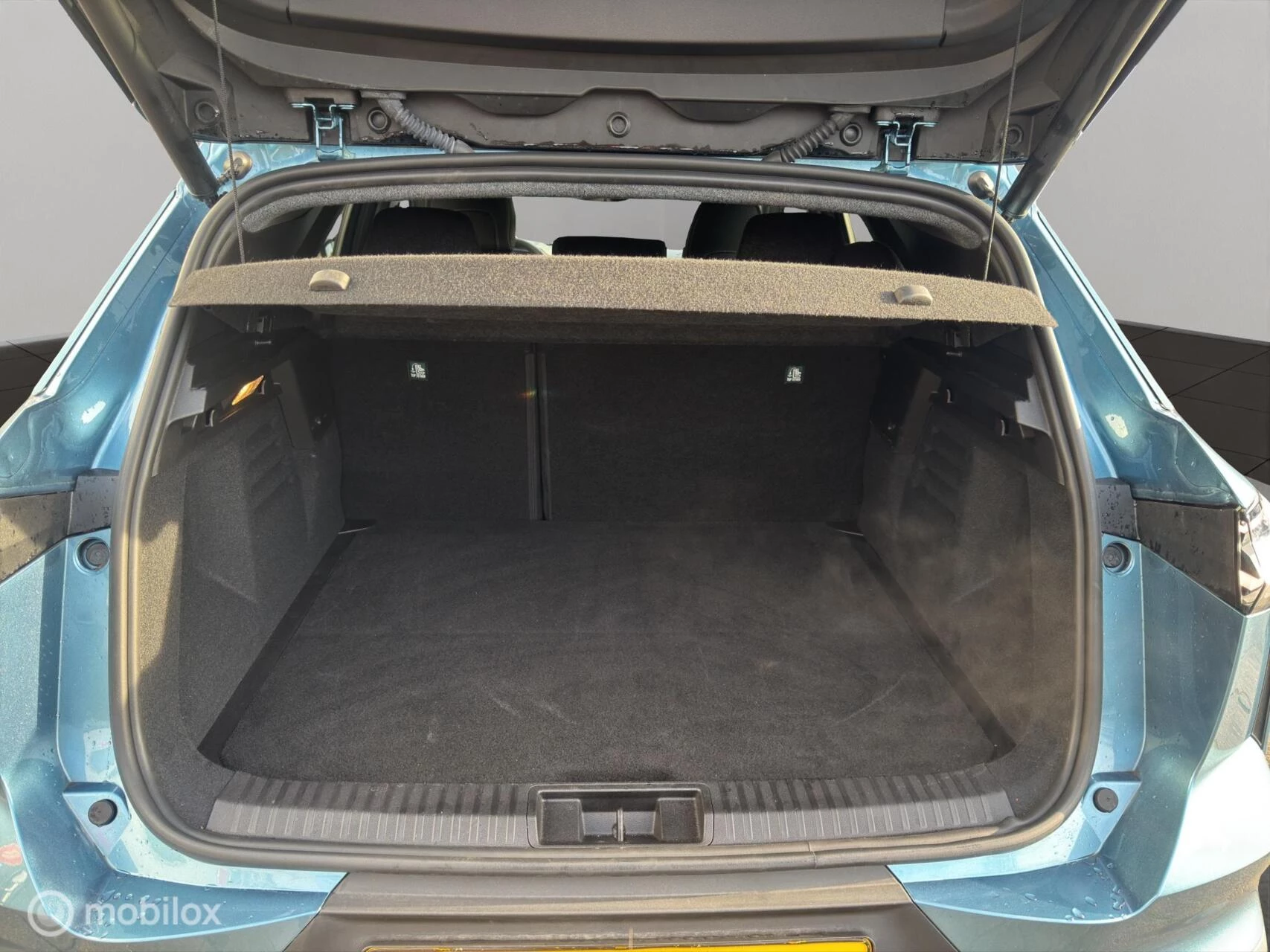 Hoofdafbeelding Renault Symbioz