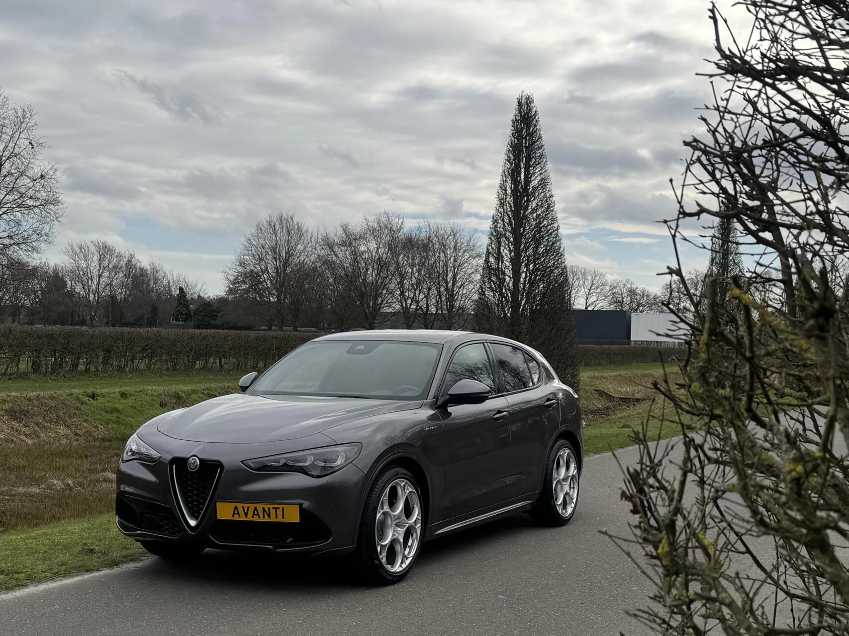 Hoofdafbeelding Alfa Romeo Stelvio