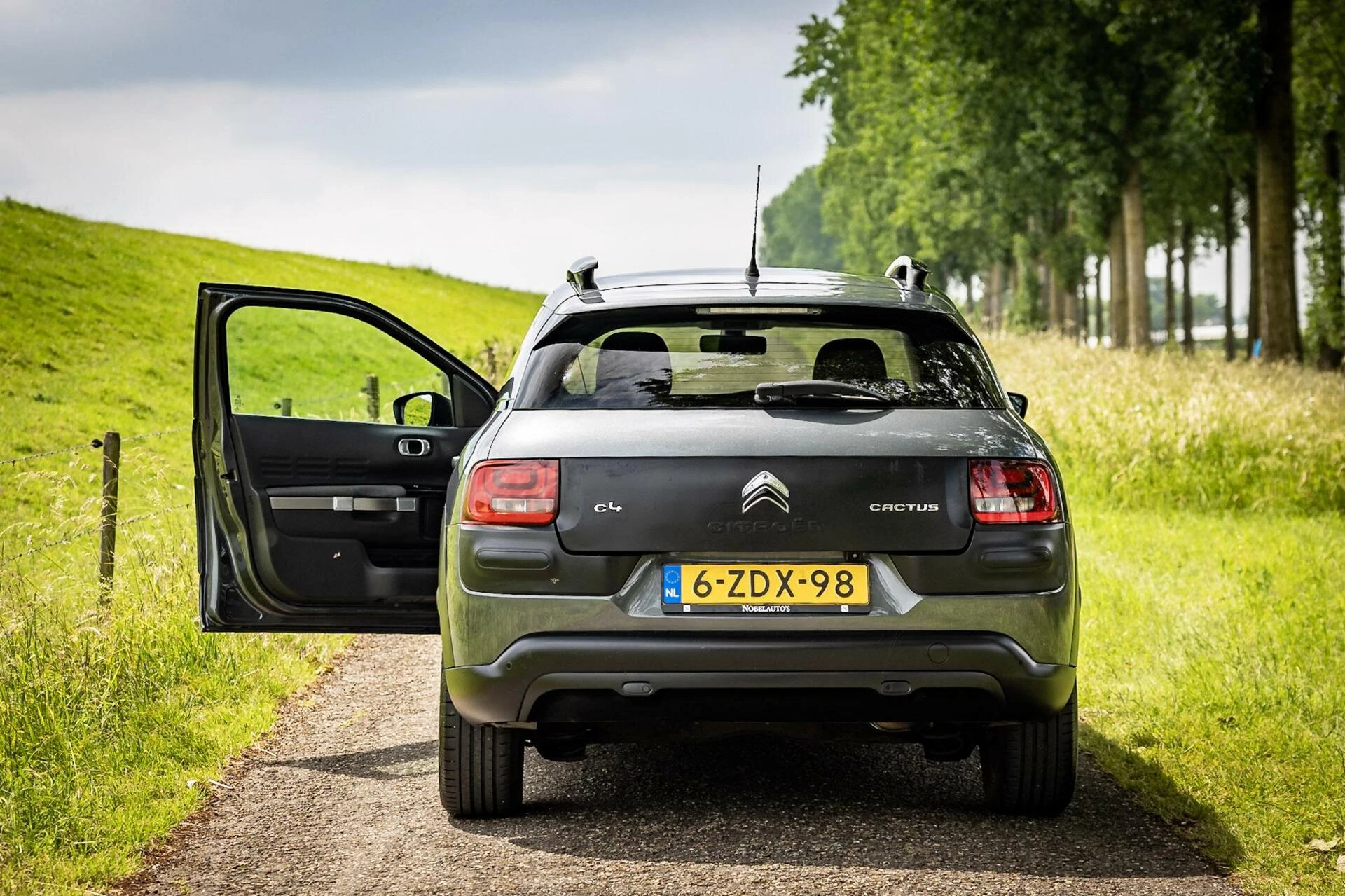 Hoofdafbeelding Citroën C4 Cactus
