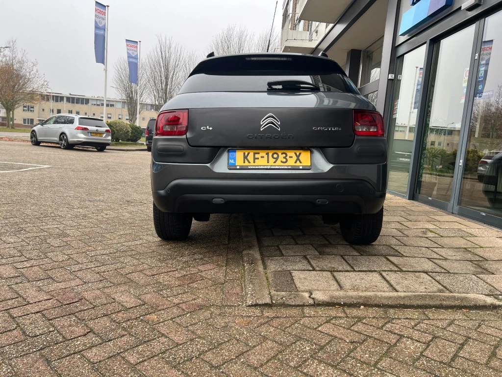 Hoofdafbeelding Citroën C4 Cactus