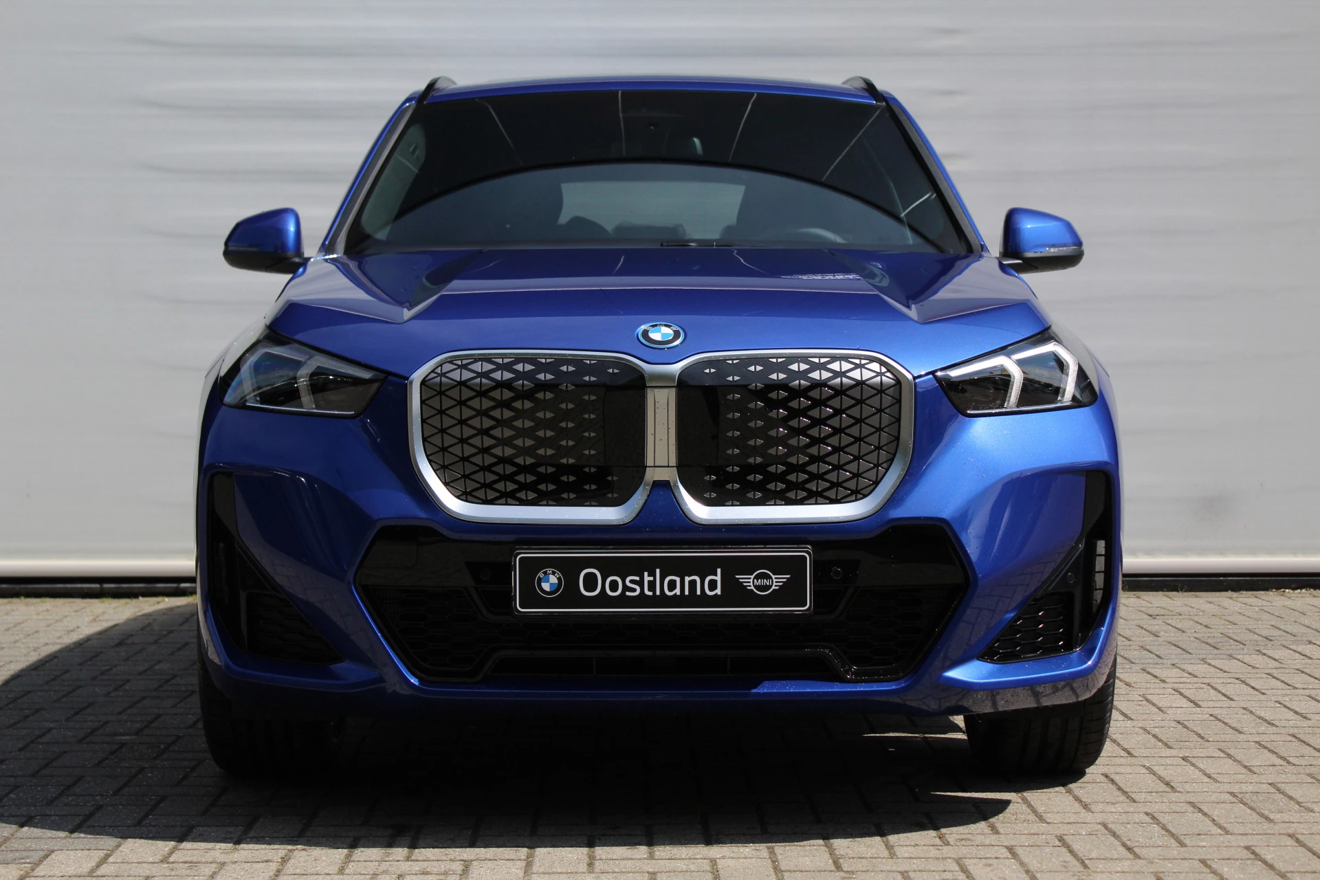 Hoofdafbeelding BMW iX1