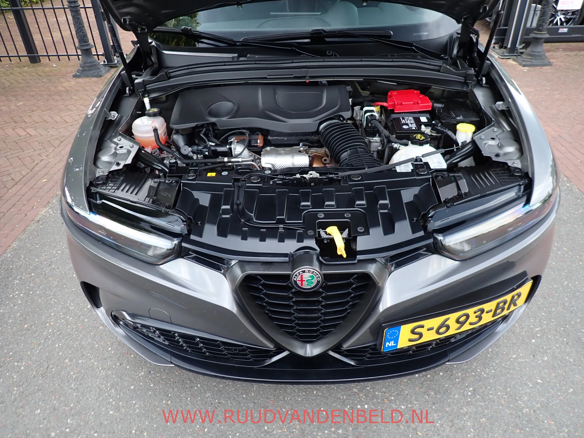 Hoofdafbeelding Alfa Romeo Tonale