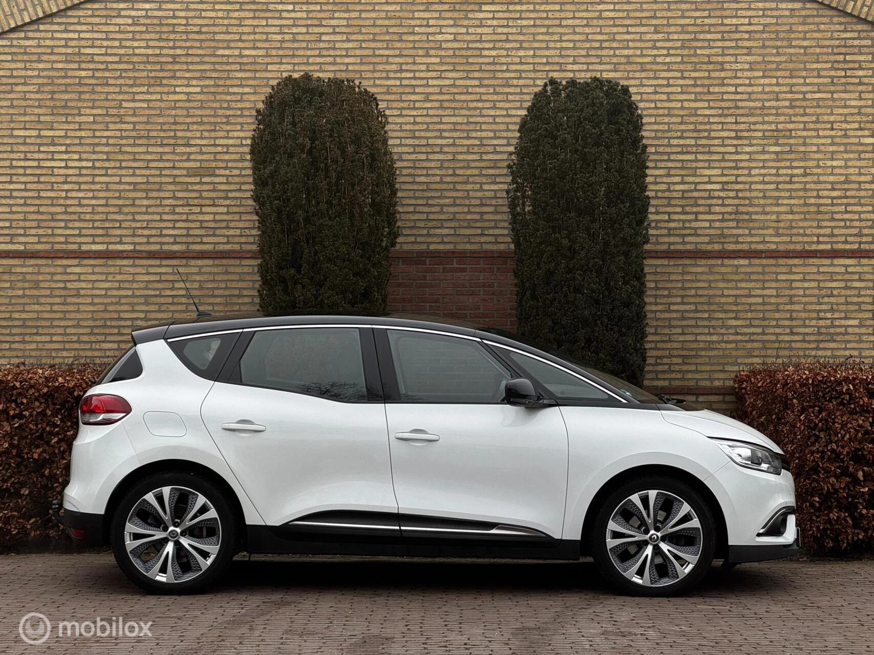 Hoofdafbeelding Renault Scénic