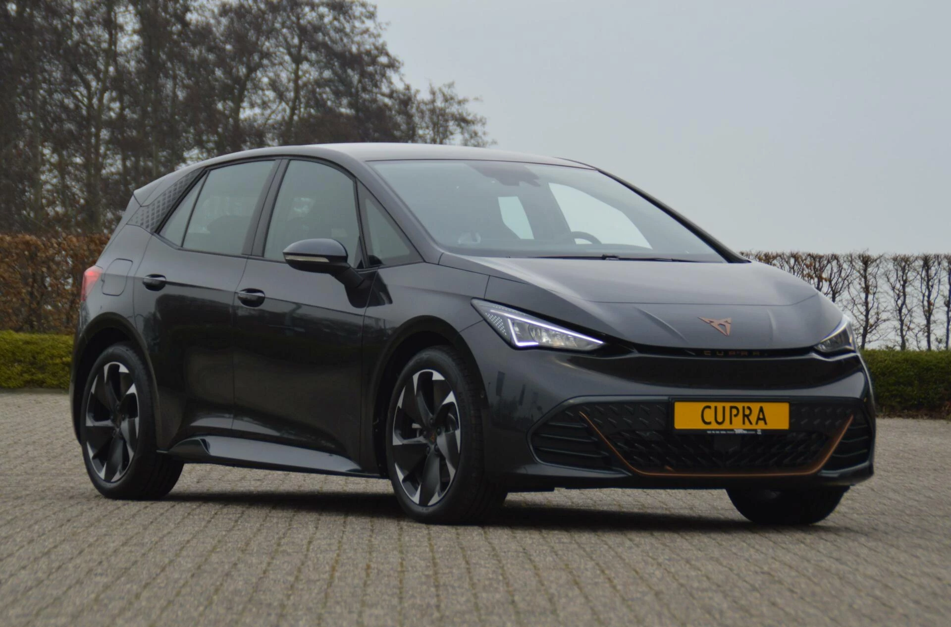 Hoofdafbeelding CUPRA Born