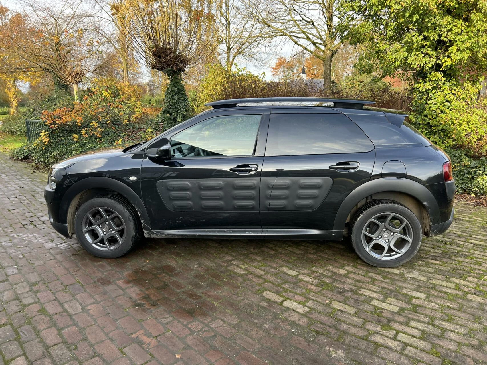 Hoofdafbeelding Citroën C4 Cactus