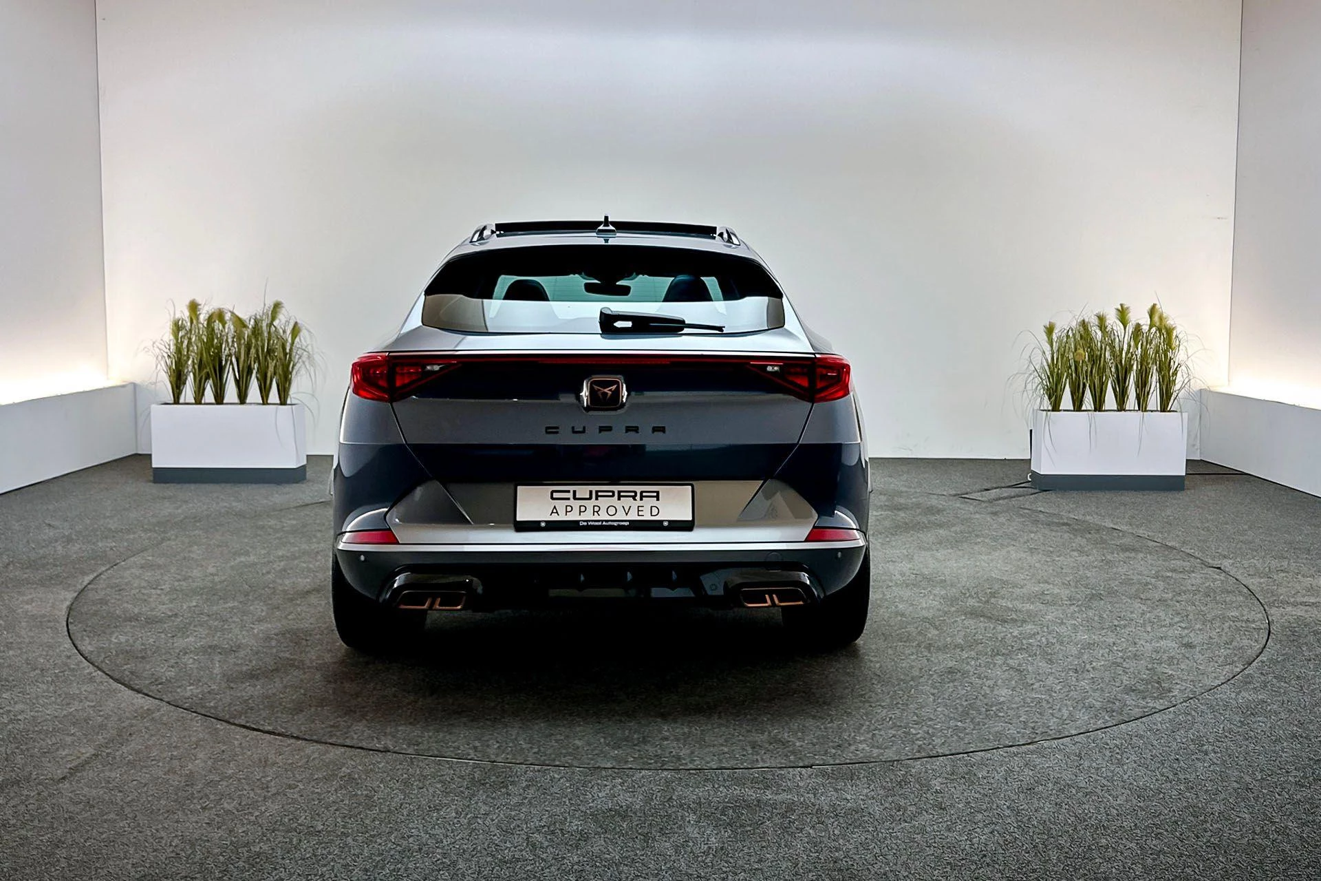 Hoofdafbeelding CUPRA Formentor