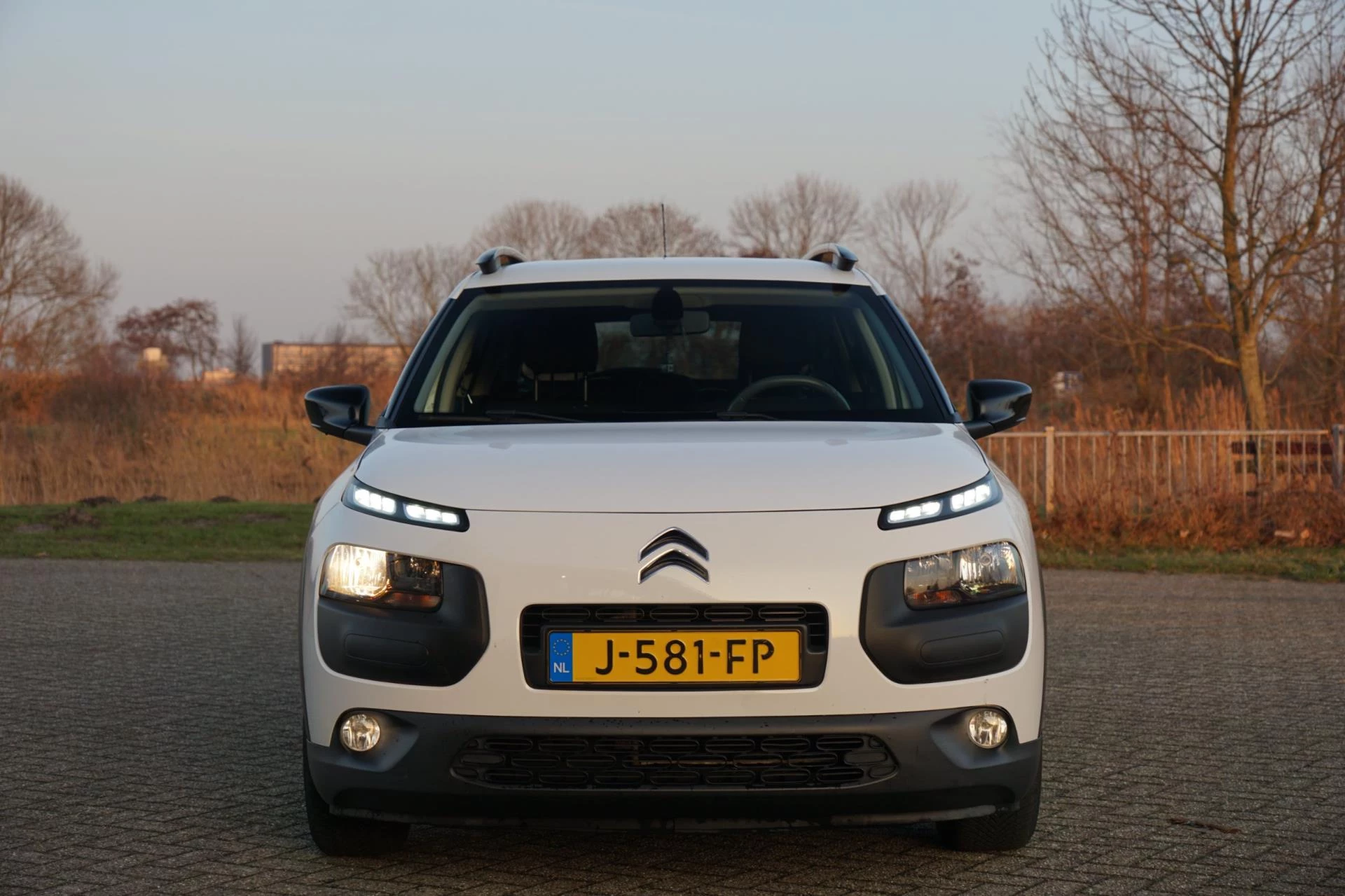 Hoofdafbeelding Citroën C4 Cactus