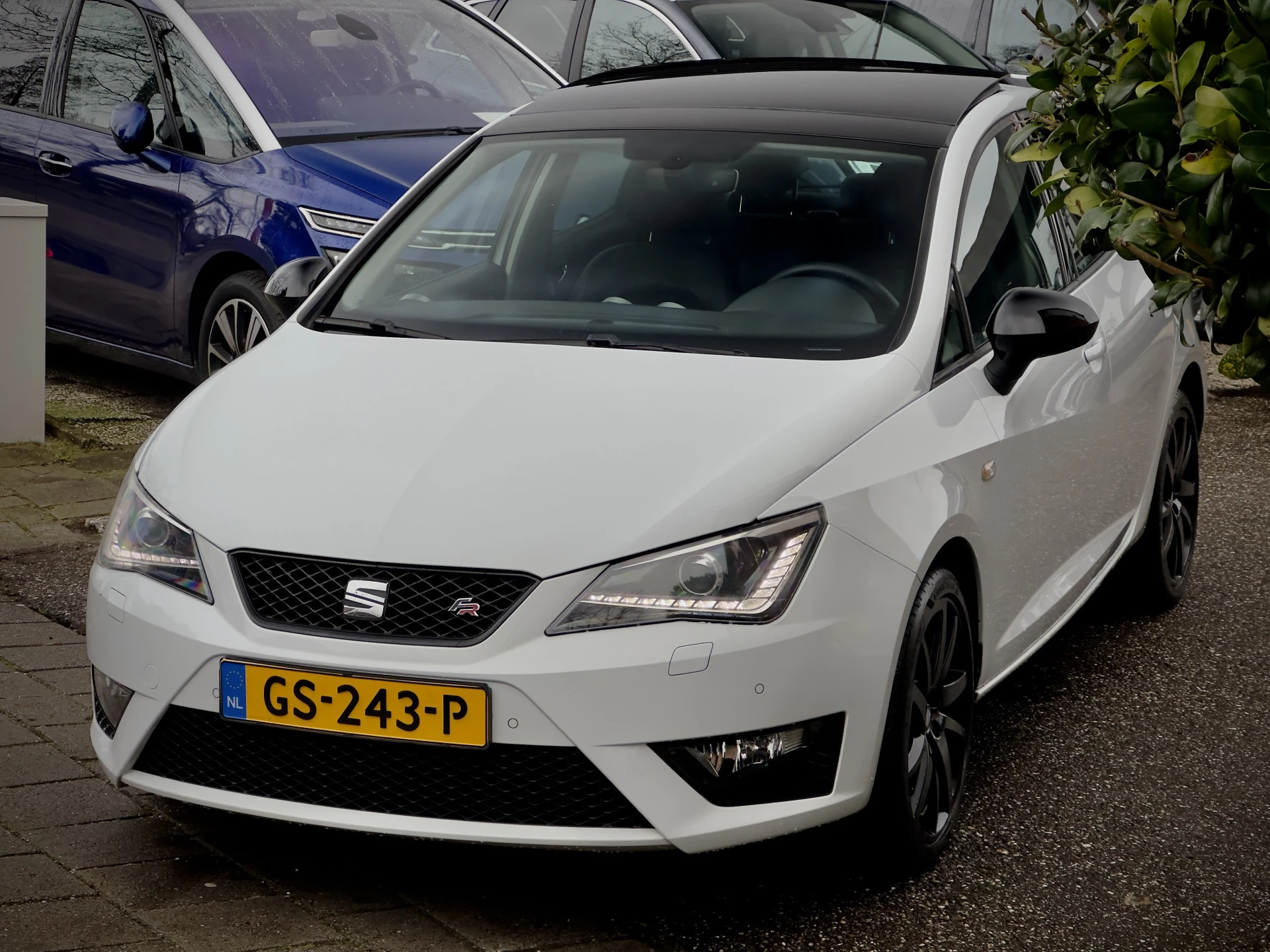 Hoofdafbeelding SEAT Ibiza