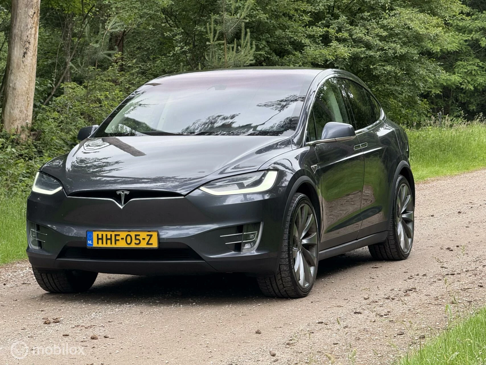 Hoofdafbeelding Tesla Model X