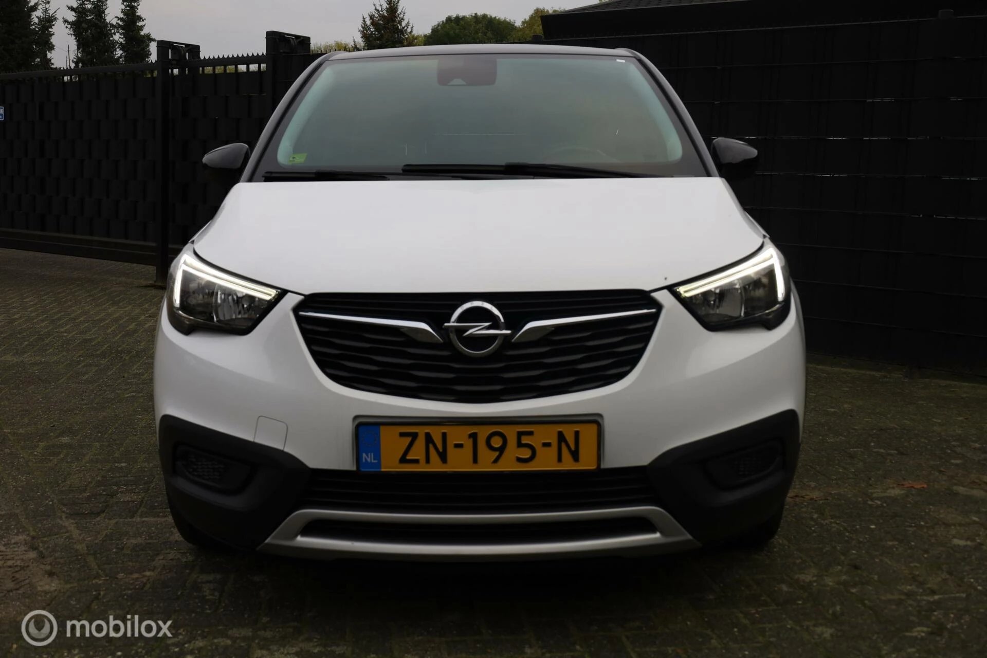 Hoofdafbeelding Opel Crossland X