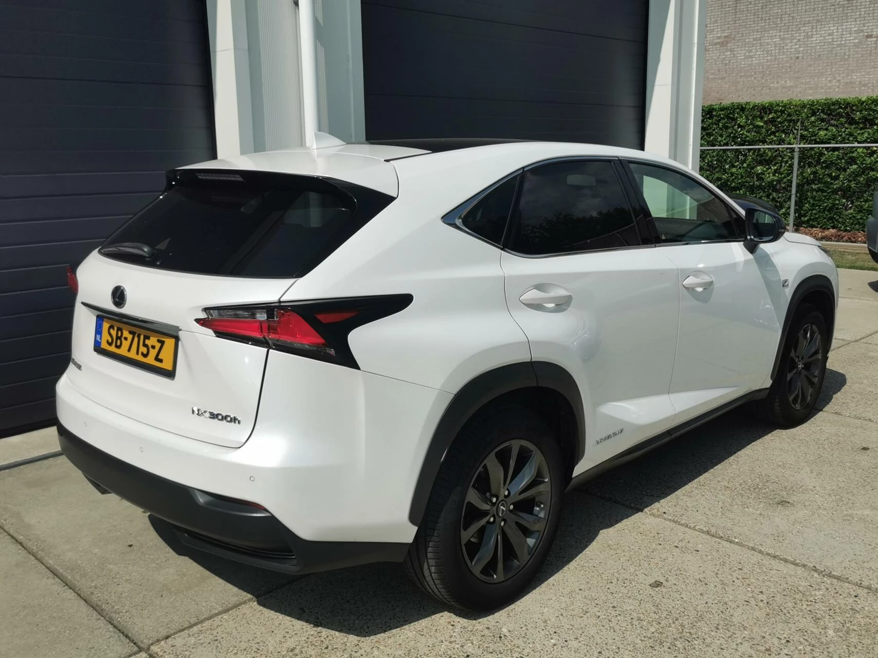 Hoofdafbeelding Lexus NX