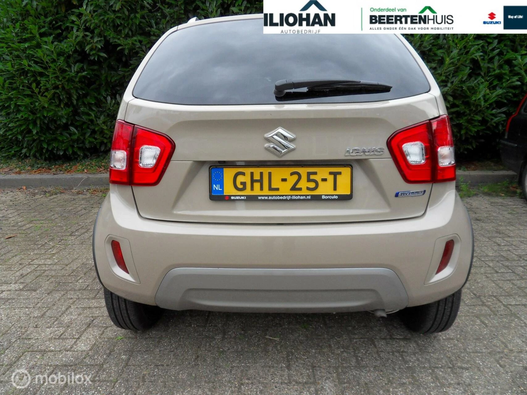 Hoofdafbeelding Suzuki Ignis