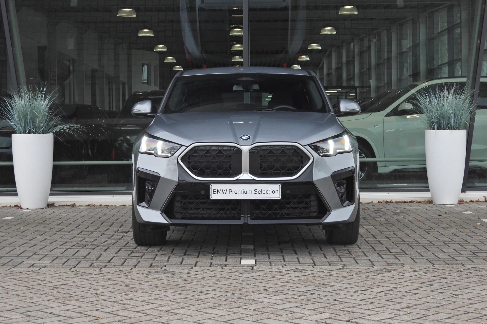 Hoofdafbeelding BMW X2