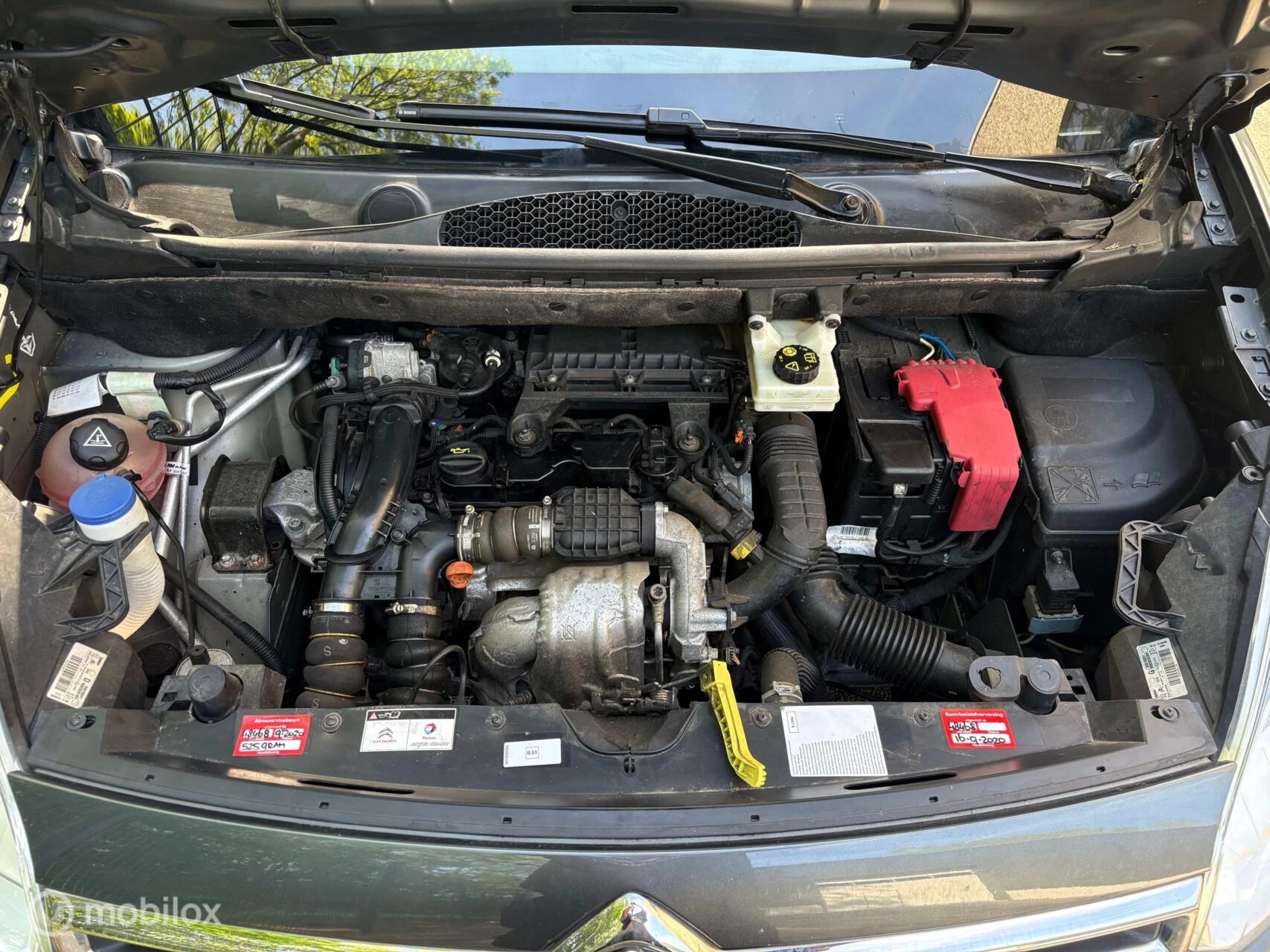 Hoofdafbeelding Citroën Berlingo
