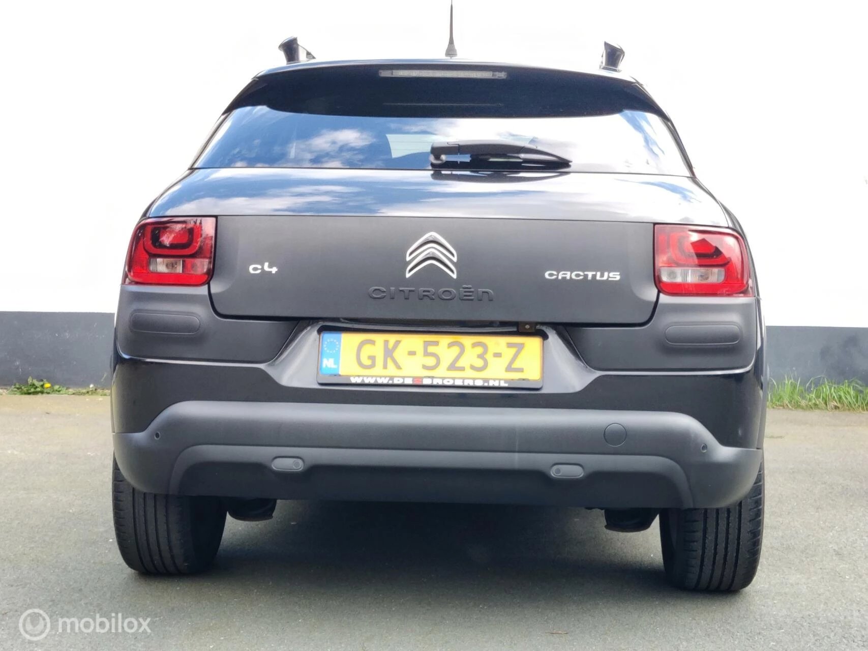 Hoofdafbeelding Citroën C4 Cactus