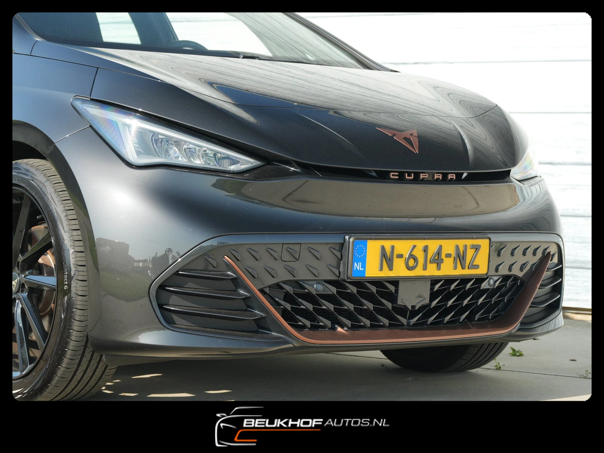 Hoofdafbeelding CUPRA Born