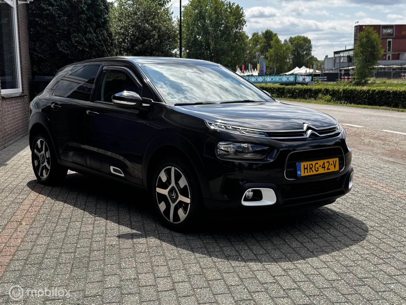 Hoofdafbeelding Citroën C4 Cactus