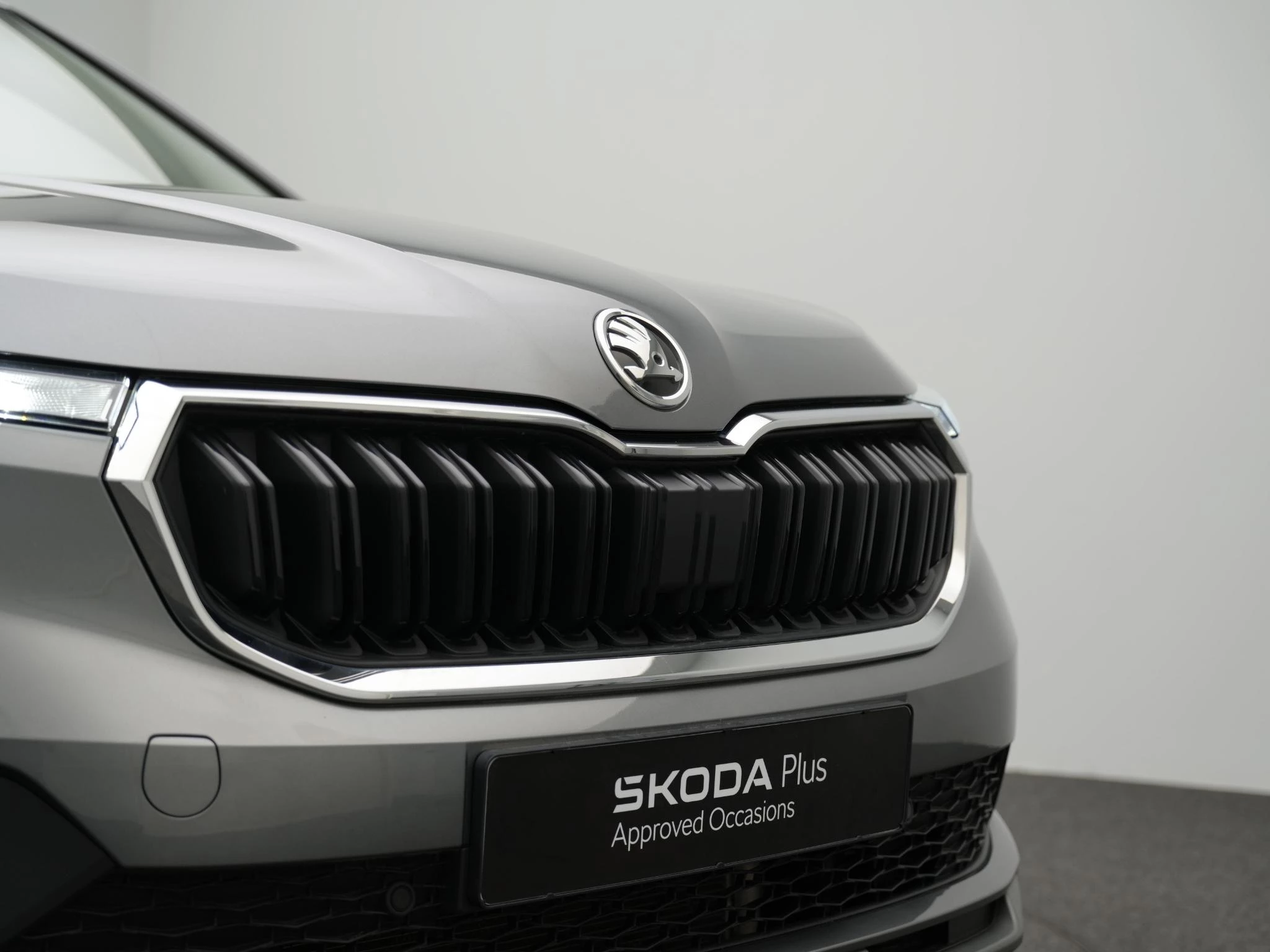 Hoofdafbeelding Škoda Kamiq