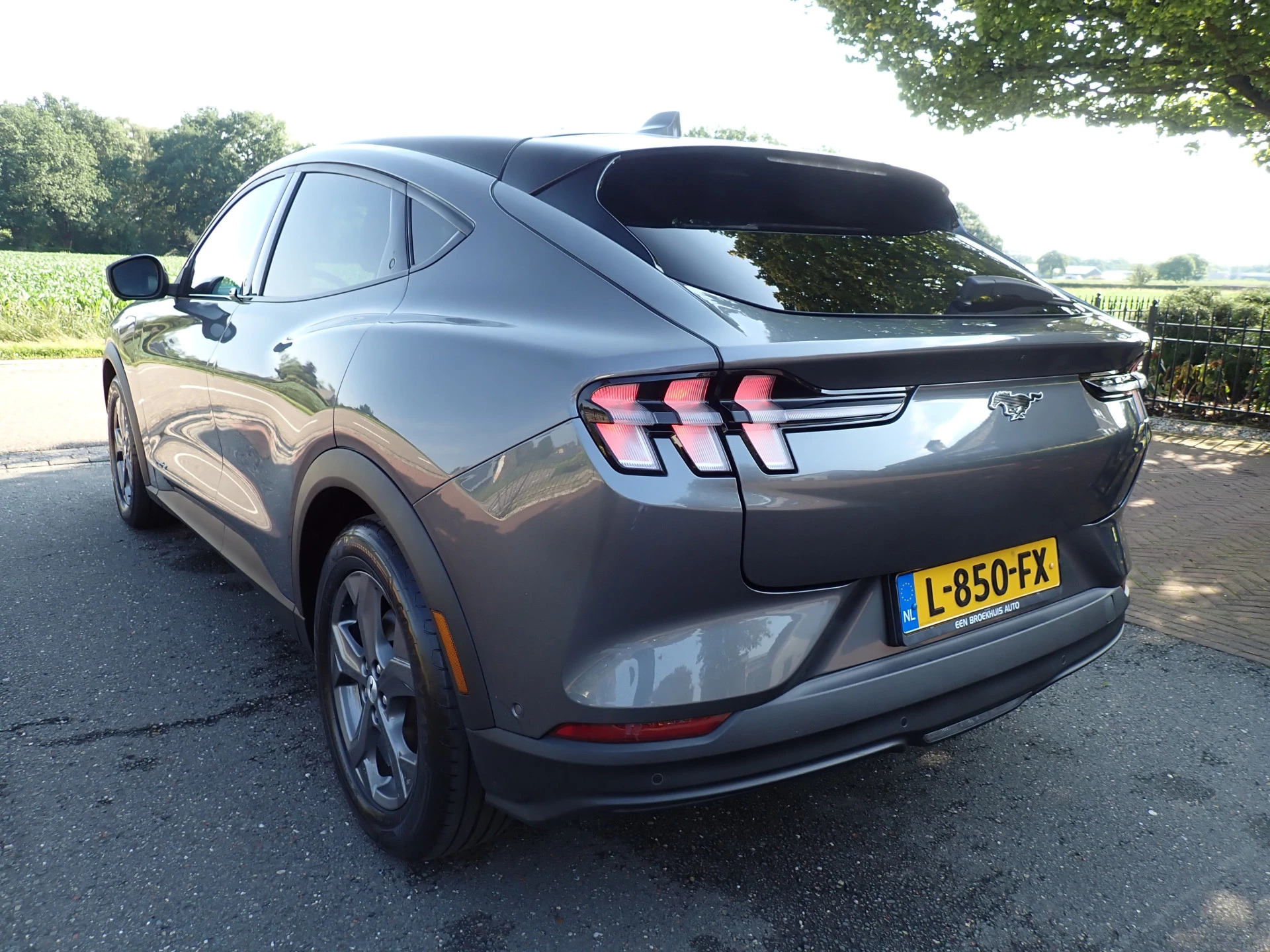Hoofdafbeelding Ford Mustang Mach-E