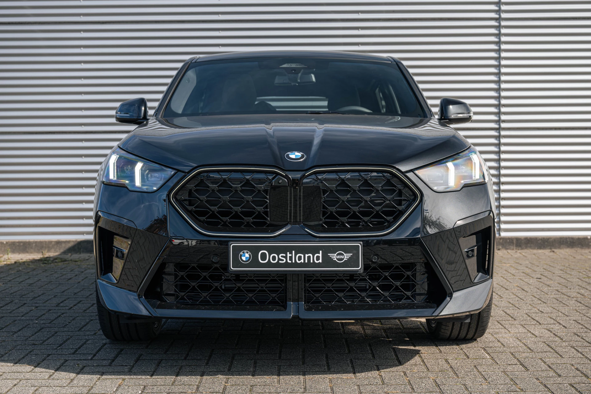 Hoofdafbeelding BMW X2