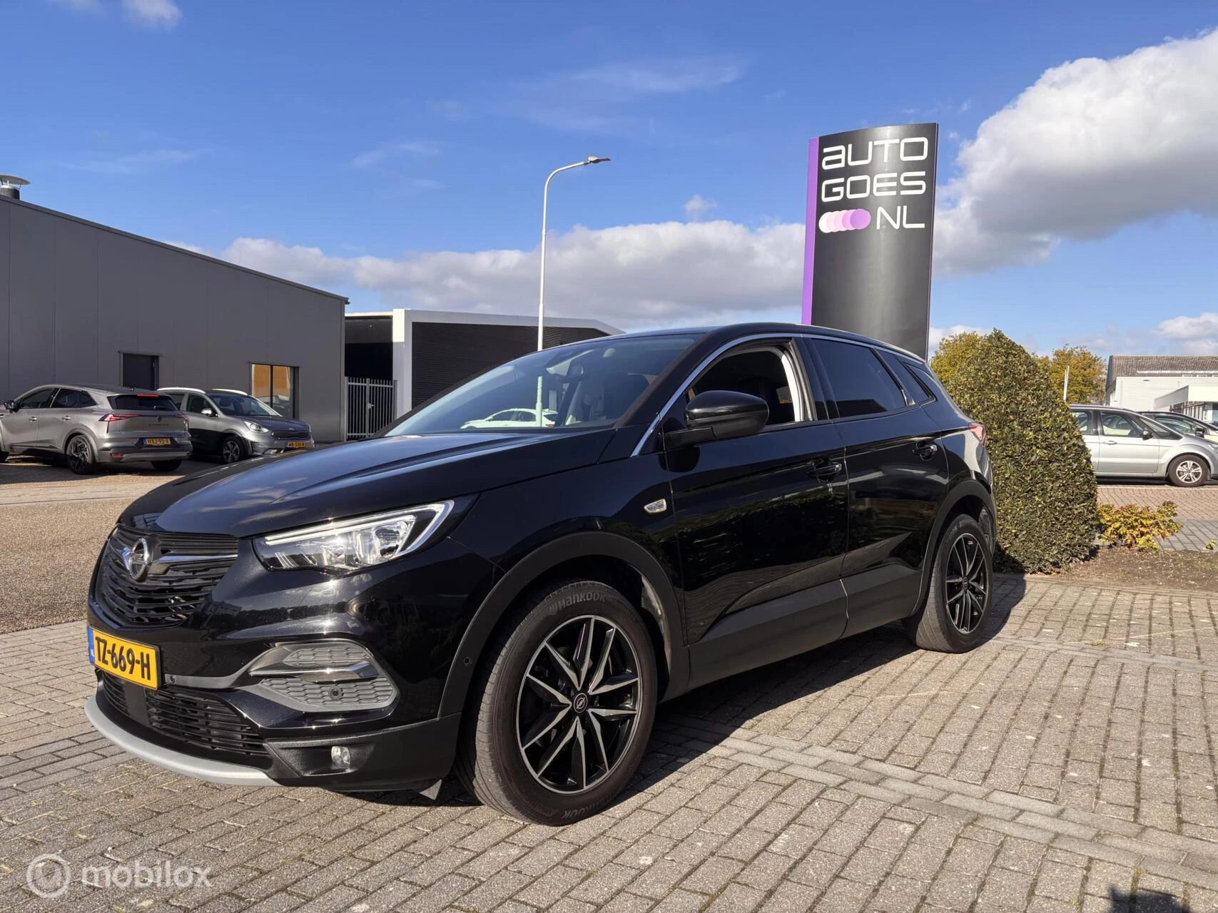 Hoofdafbeelding Opel Grandland X