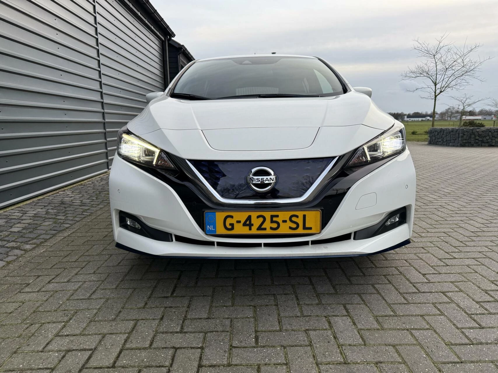 Hoofdafbeelding Nissan Leaf