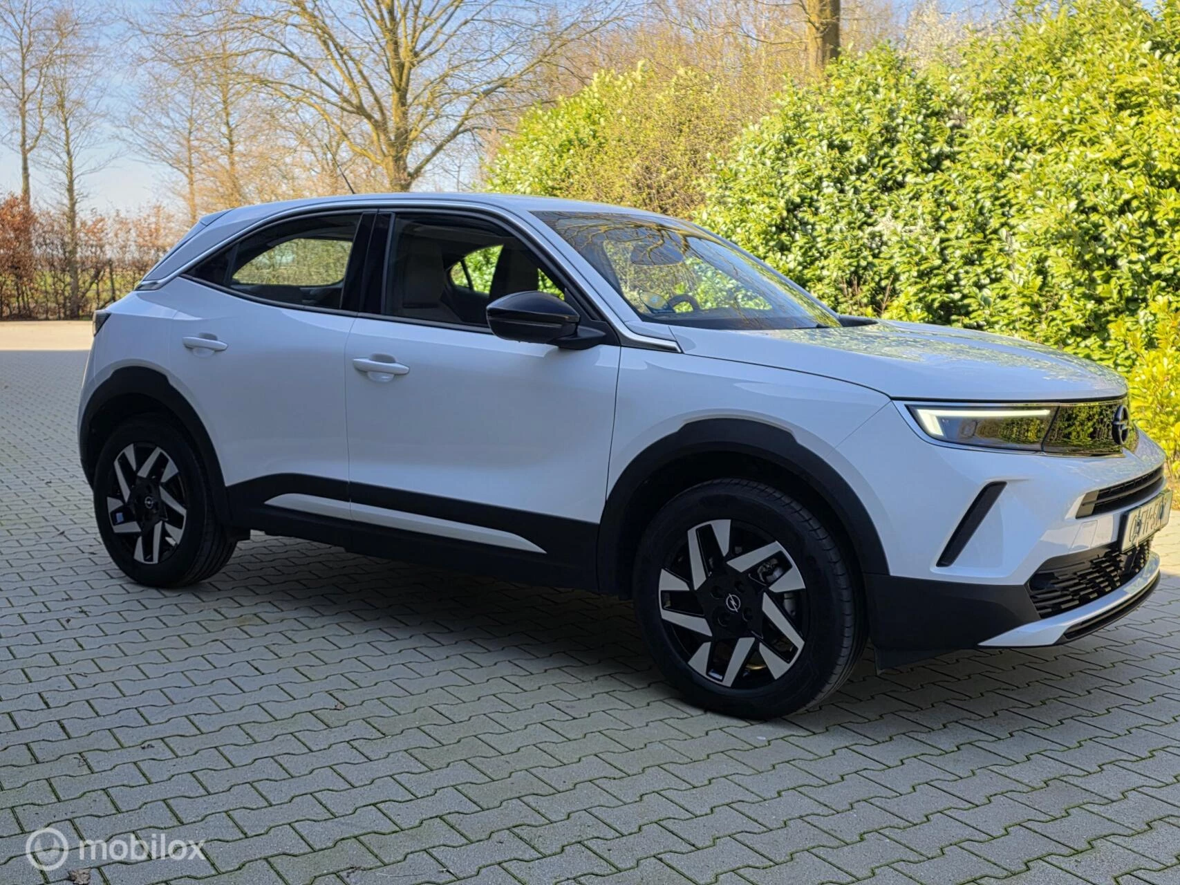 Hoofdafbeelding Opel Mokka-e