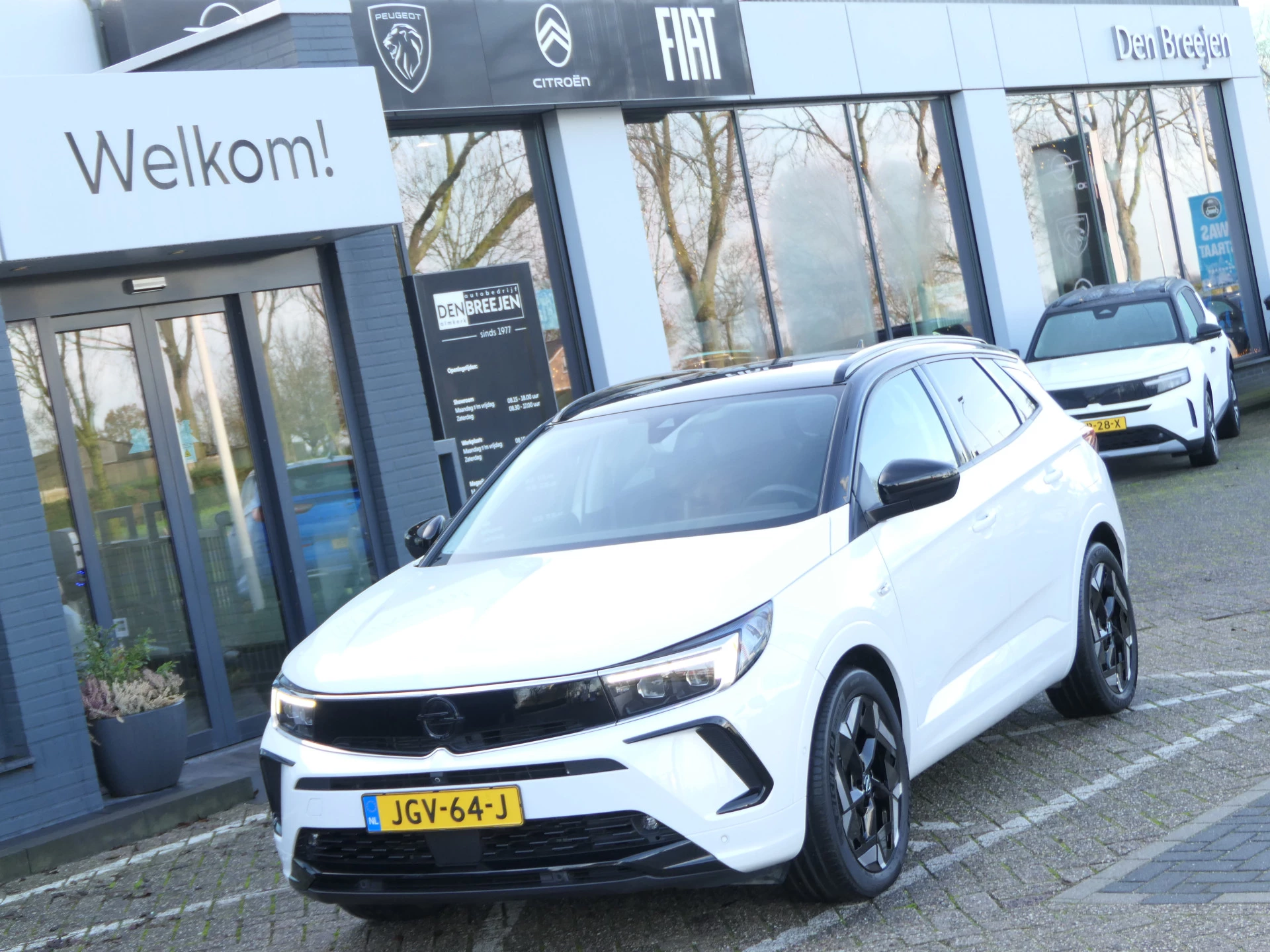 Hoofdafbeelding Opel Grandland