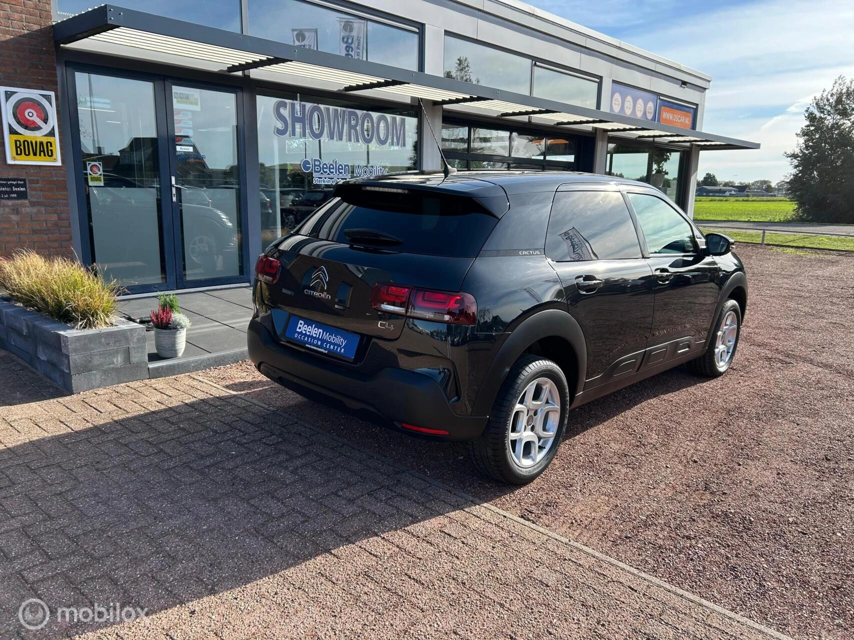 Hoofdafbeelding Citroën C4 Cactus