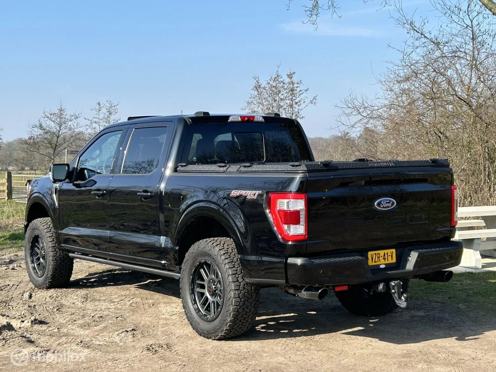 Hoofdafbeelding Ford F-150
