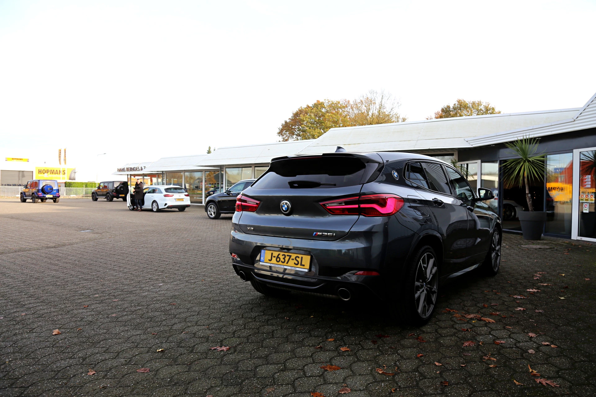 Hoofdafbeelding BMW X2